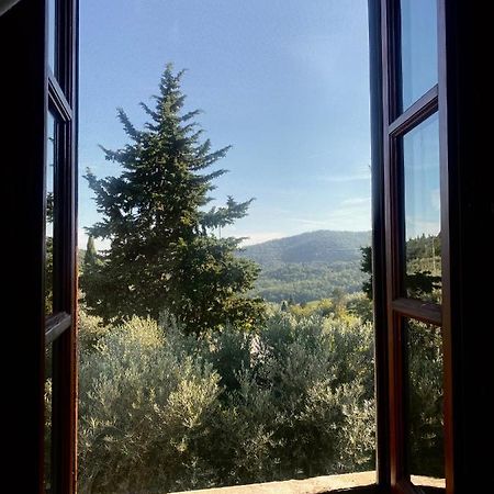 Room In Bb - Agriturismo Sottotono, Nature And Relax Carmignano Kültér fotó